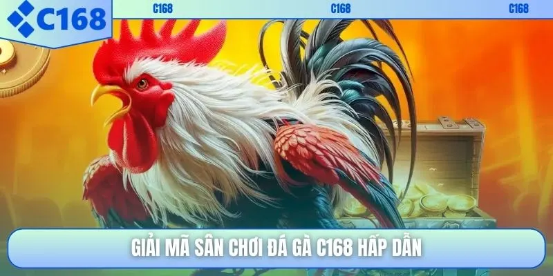 Giải mã sân chơi đá gà C168 hấp dẫn