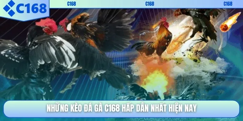 Những kèo đá gà C168 hấp dẫn nhất hiện nay